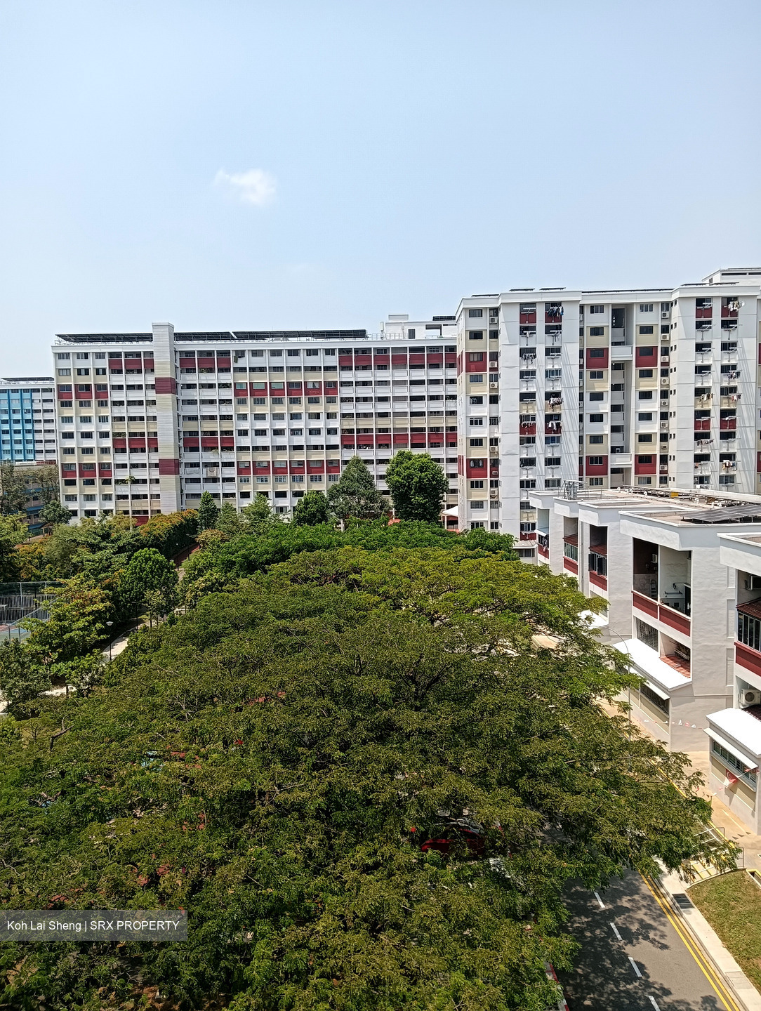 Blk 287 Ficus Vale (Yishun), HDB 3 Rooms #606893081